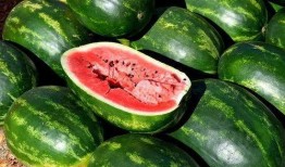 非洲网红吃瓜图片大全,趣味横生的美食文化大揭秘